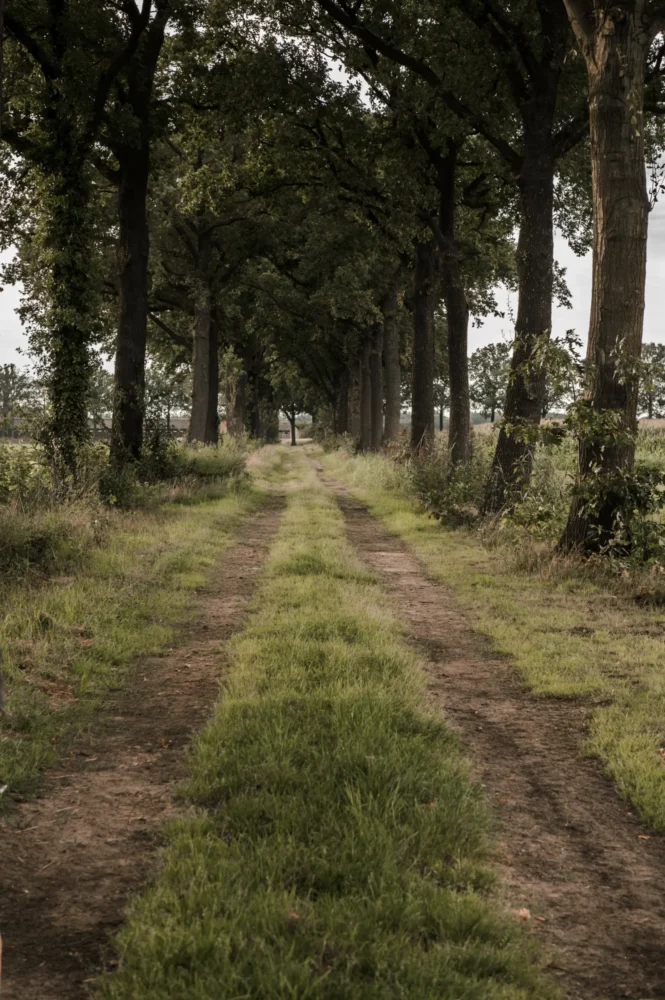 Holistisch Centrum Puur Leven Deurne - Landweg